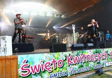 Stoiska handlowe - Święto Kwitnących Sadów