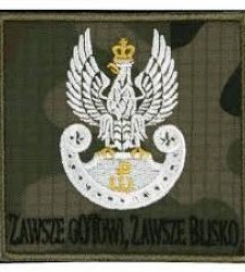 Nabór do terytorialnej służby wojskowej w ramach tworzenia 114 batalionu lekkiej piechoty w Limanowej