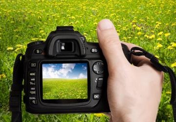 Wyniki konkursu fotograficznego „Okiem Eko-obiektywu”