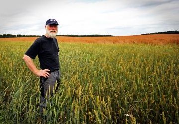 Pomoc dla rolników szczególnie dotkniętych kryzysem COVID-19