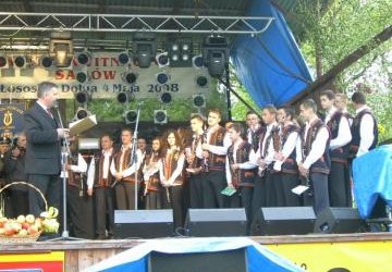 XV Święto Kwitnących Sadów 2008
